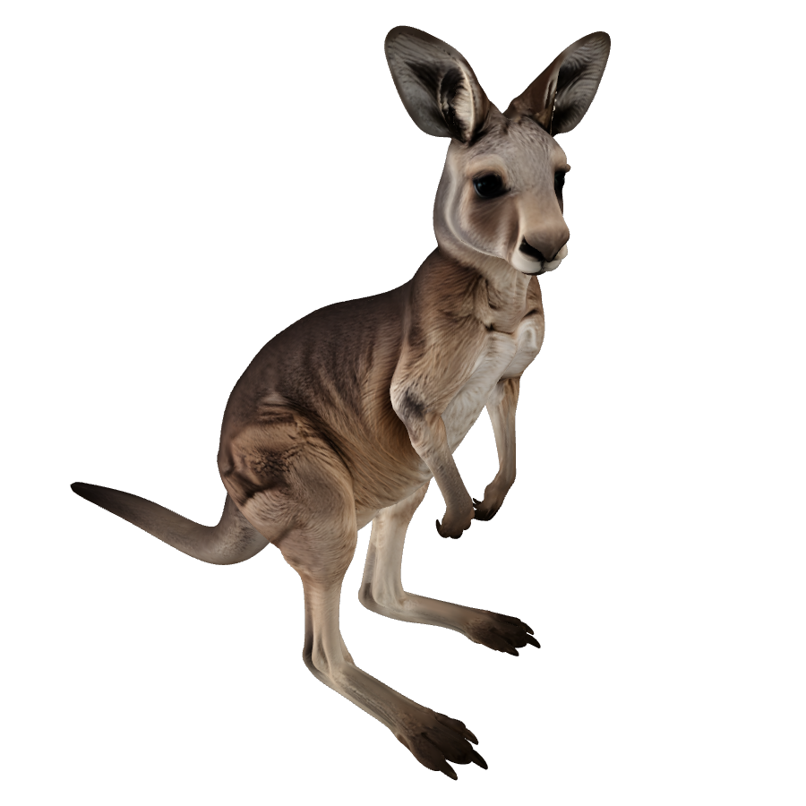 Canguro 3D model (.stl, .glb, .fbx)